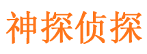 冷湖神探私家侦探公司